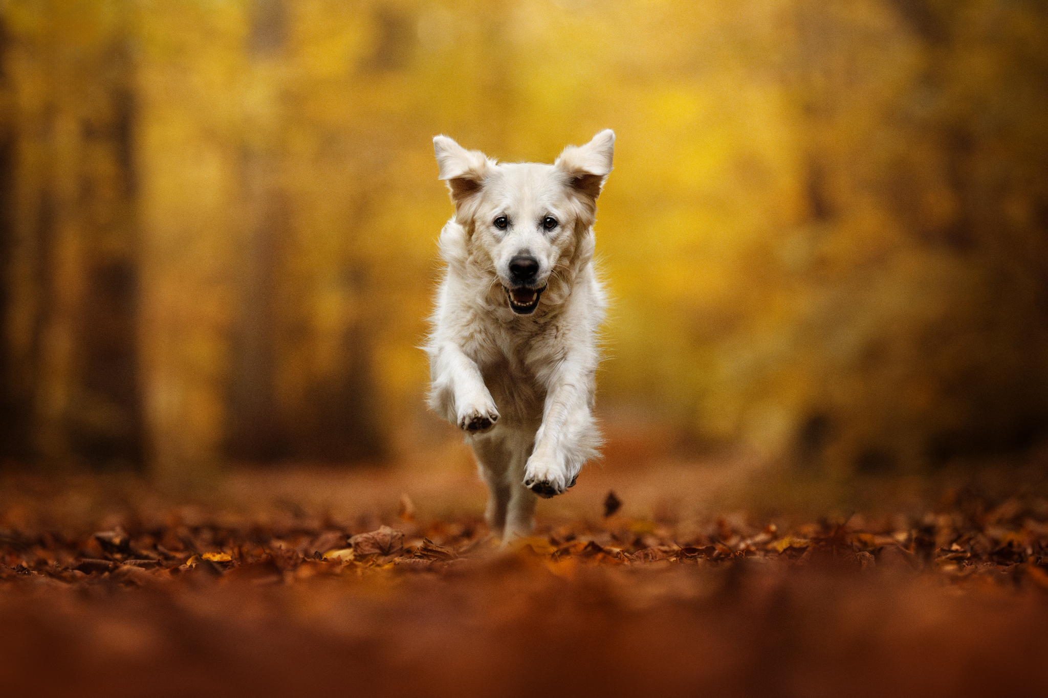 ÜBER MICH dsc 0780 bearbeitetweb