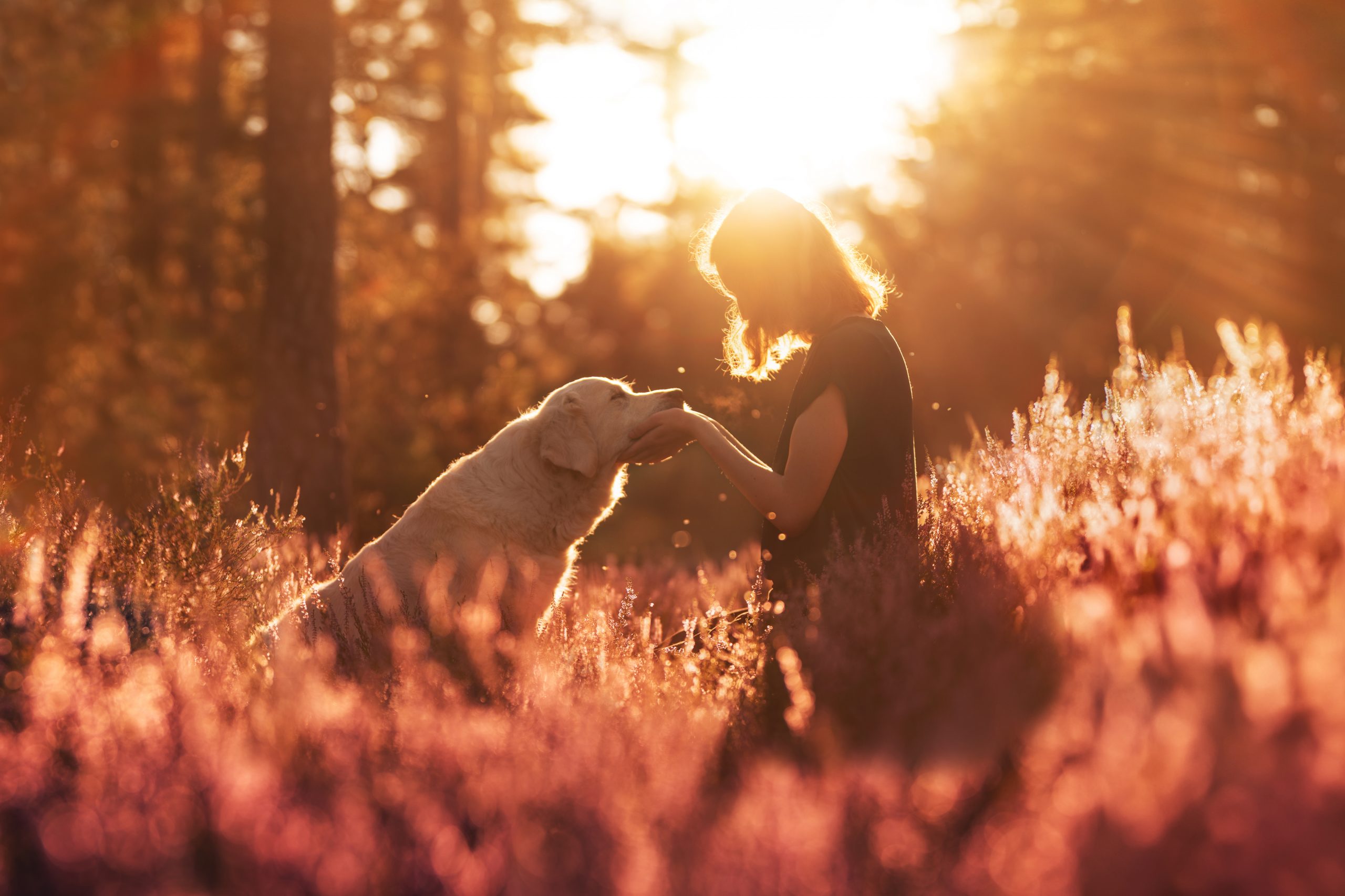 ÜBER MICH dsc 2554 1#2+