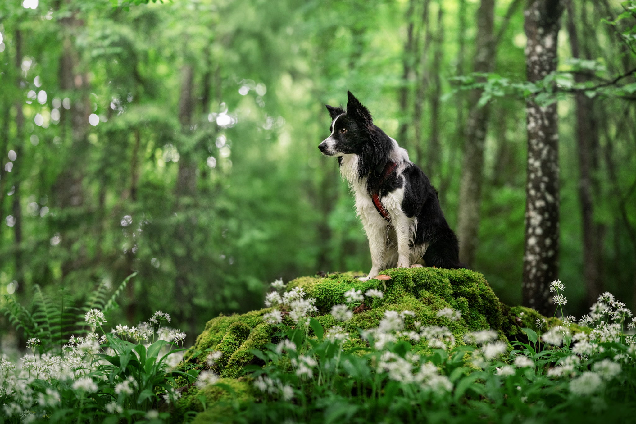 dsc 3224 bearbeitetweb