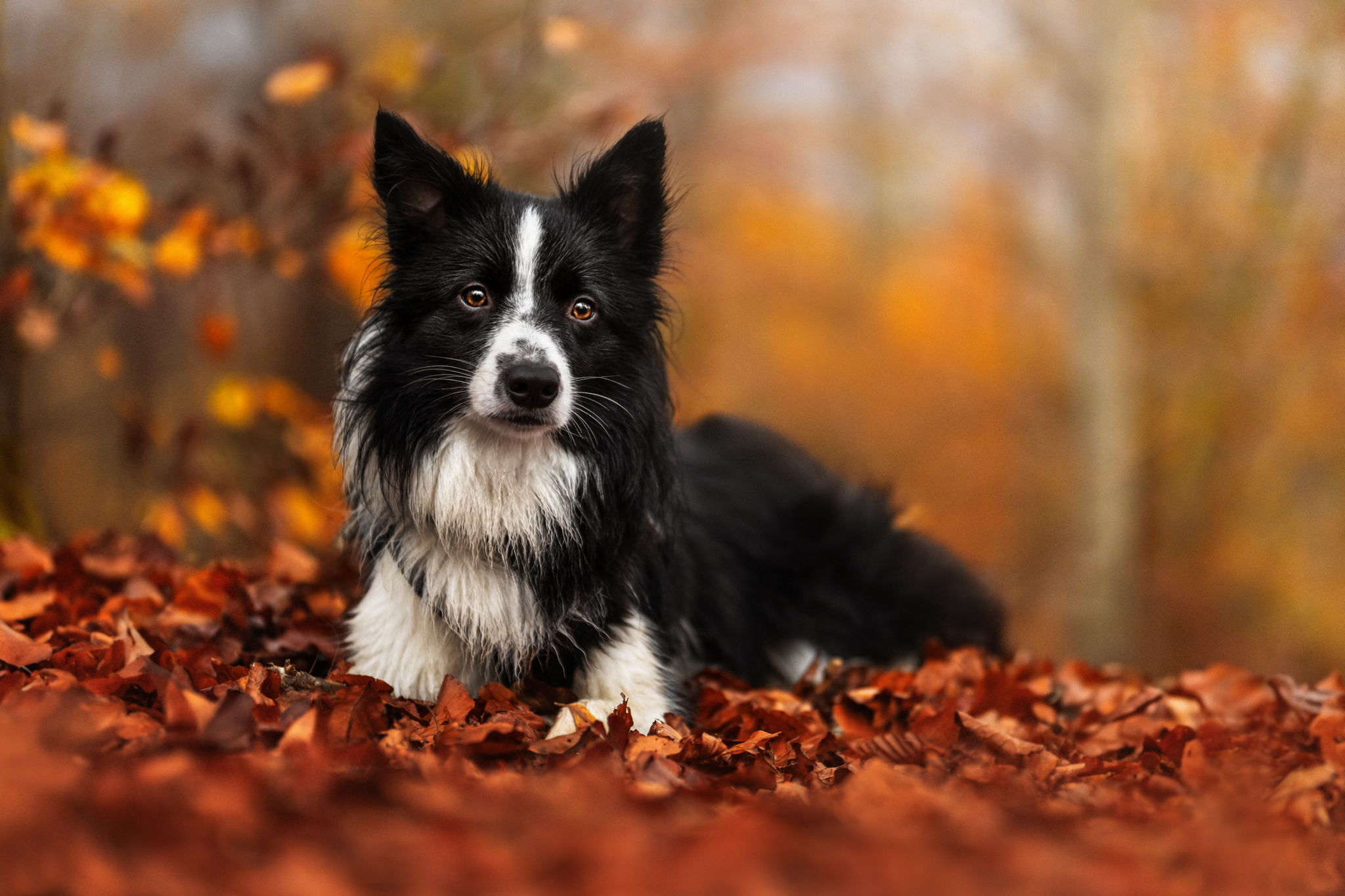 Preise dsc 3727 bearbeitetweb