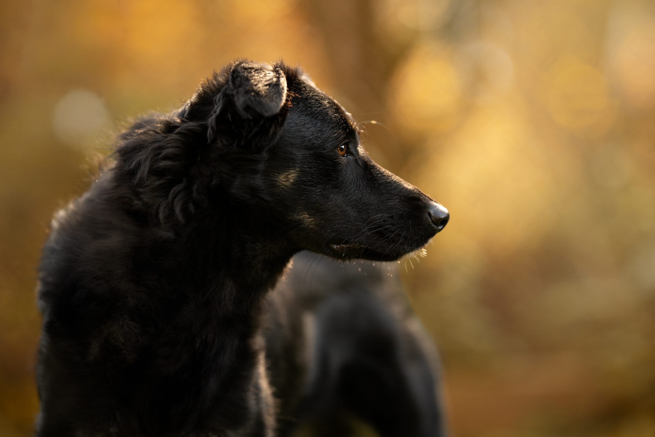 DSC 3788 Bearbeitet Scaled