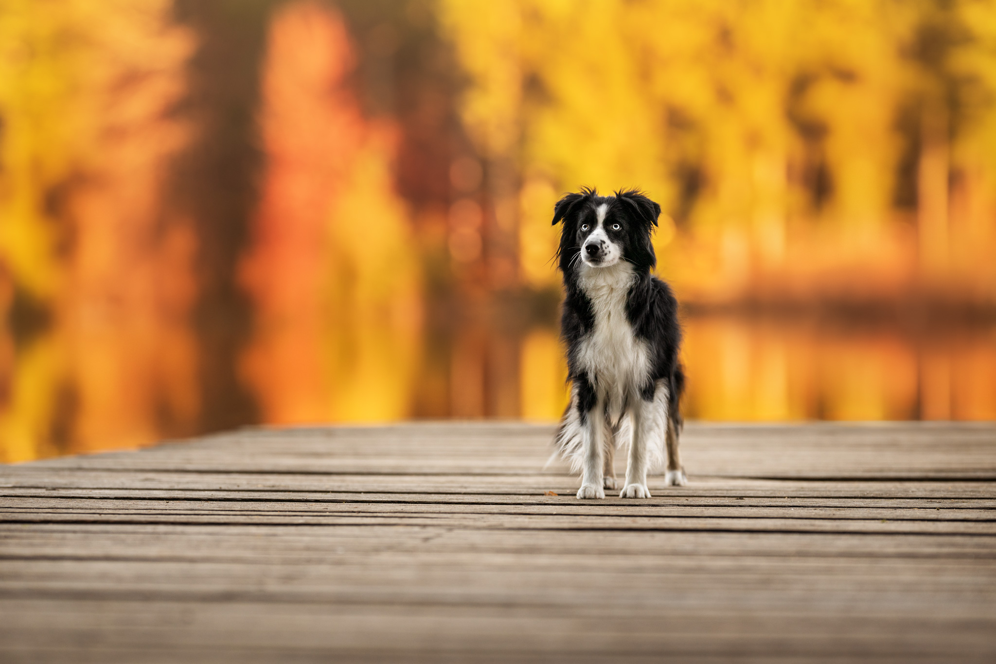 dsc 4224 bearbeitetweb