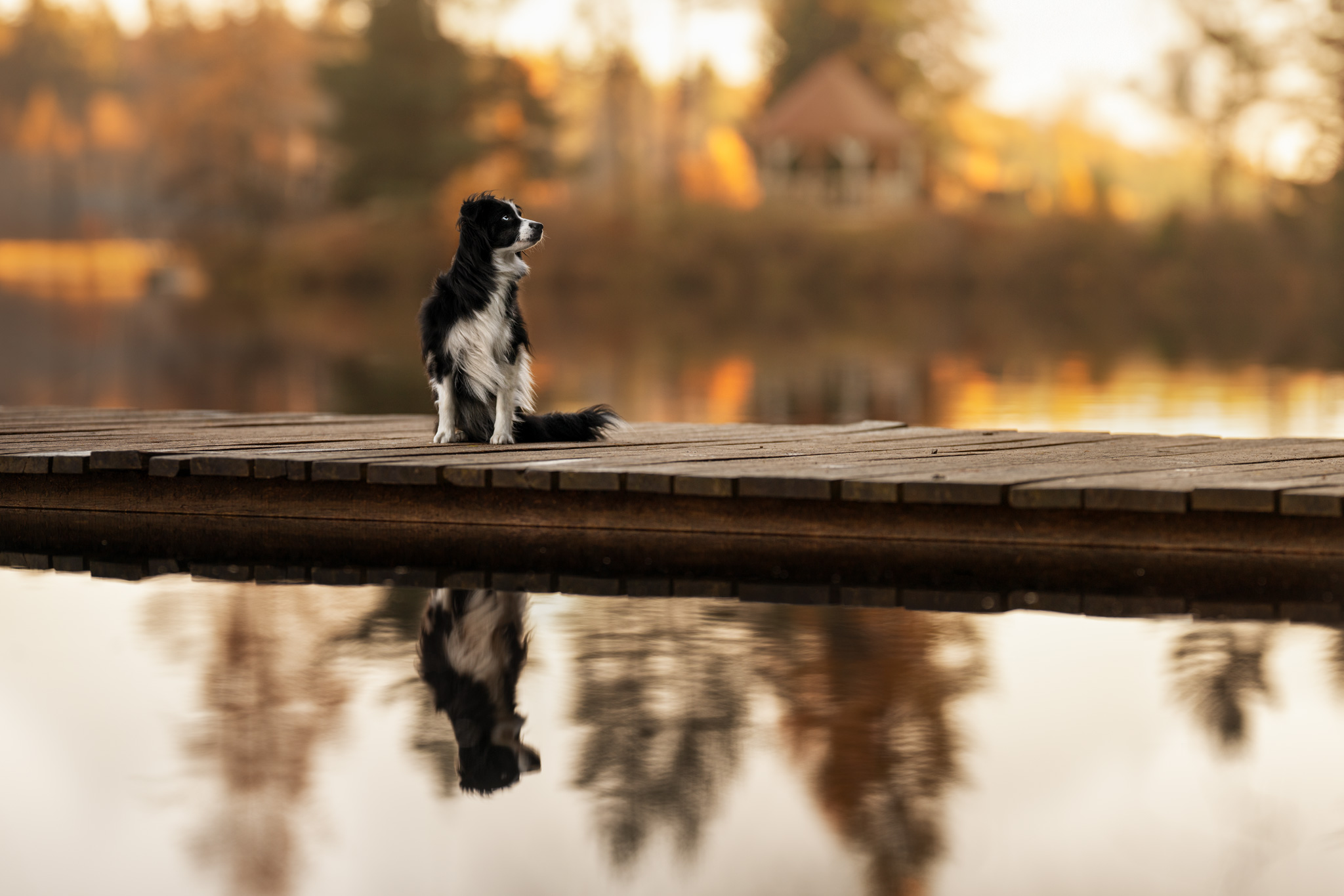 dsc 4283 bearbeitetweb