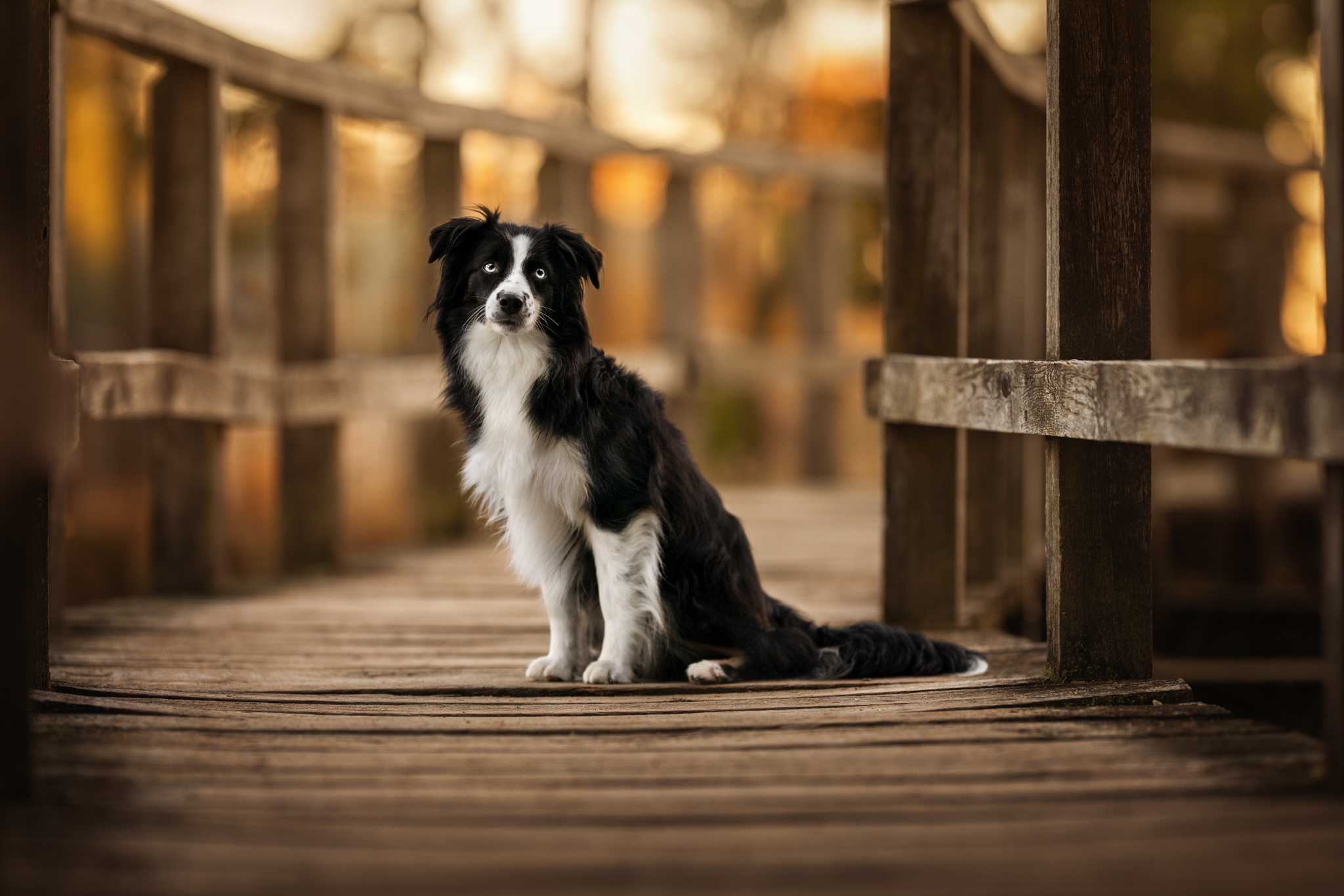 dsc 4333 bearbeitetweb