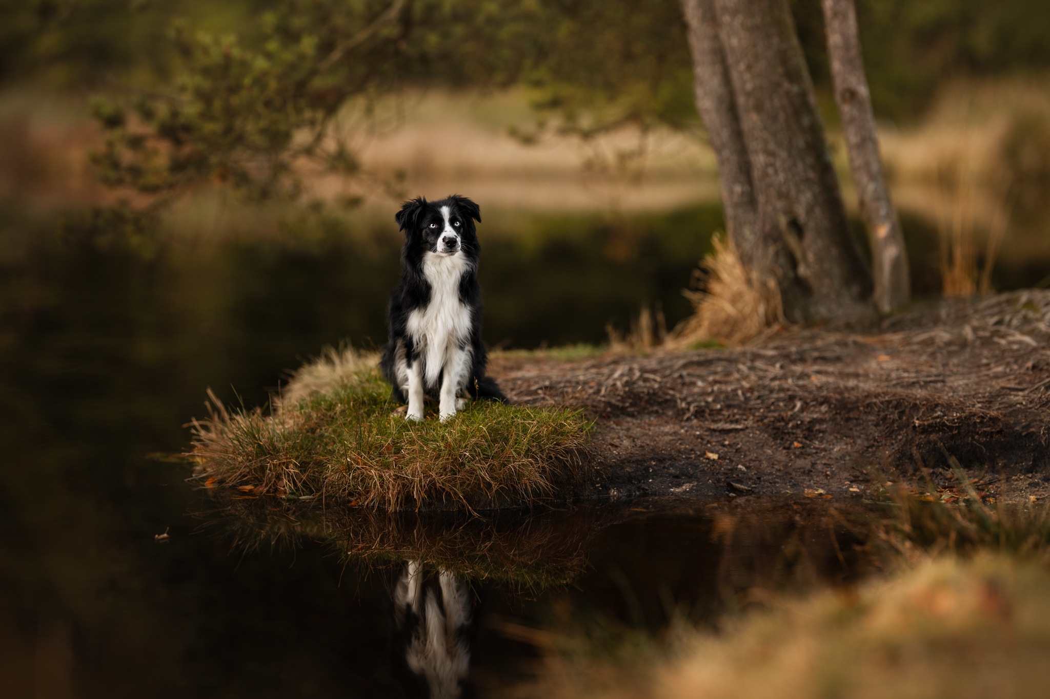 dsc 4405 bearbeitetweb