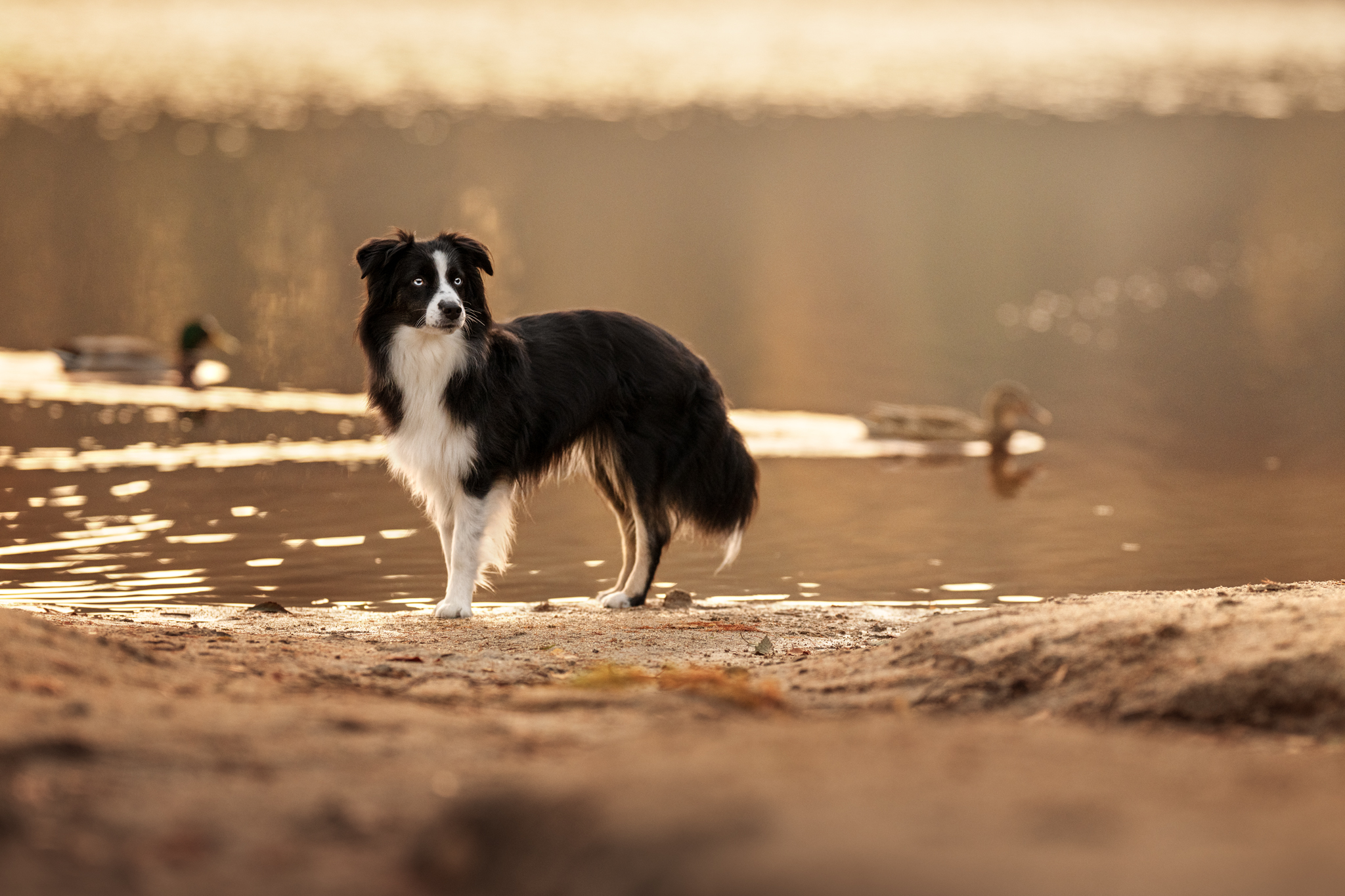 dsc 4832 bearbeitetweb