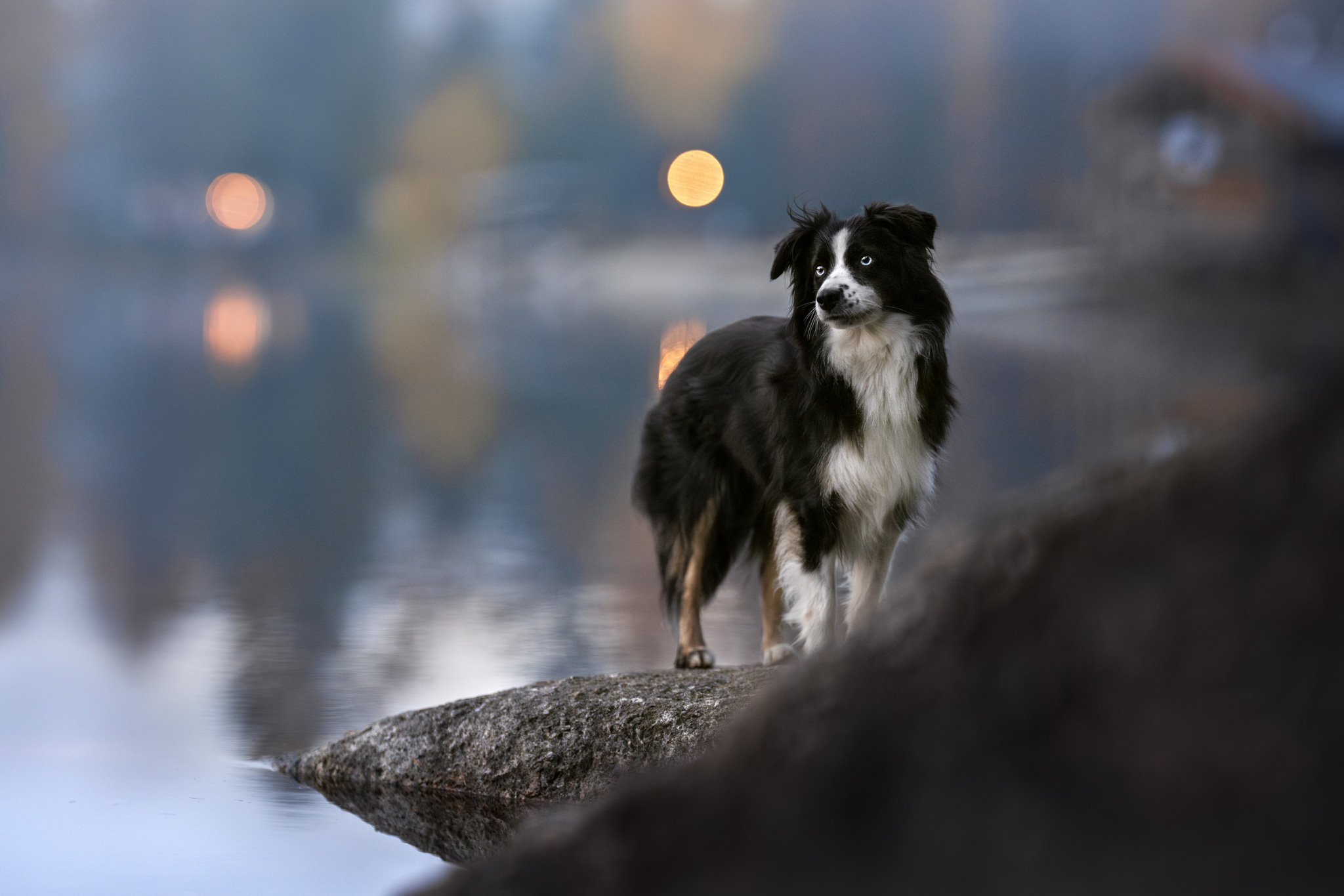 dsc 4959 bearbeitetweb