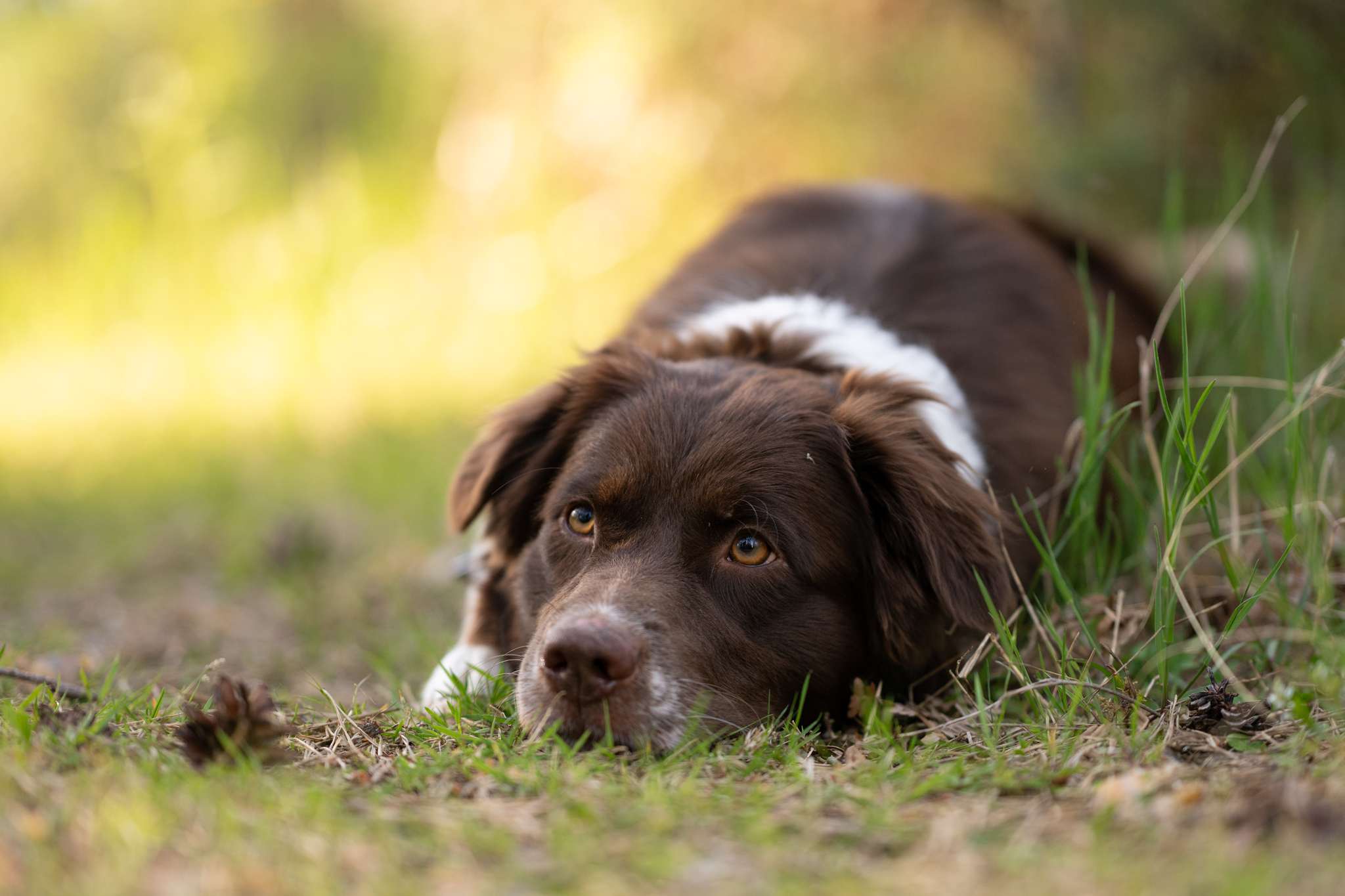 Preise dsc 5281 bearbeitetgruznd