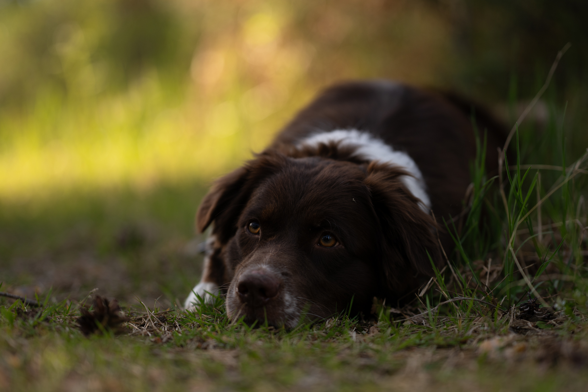 Preise dsc 5281 bearbeitetraw