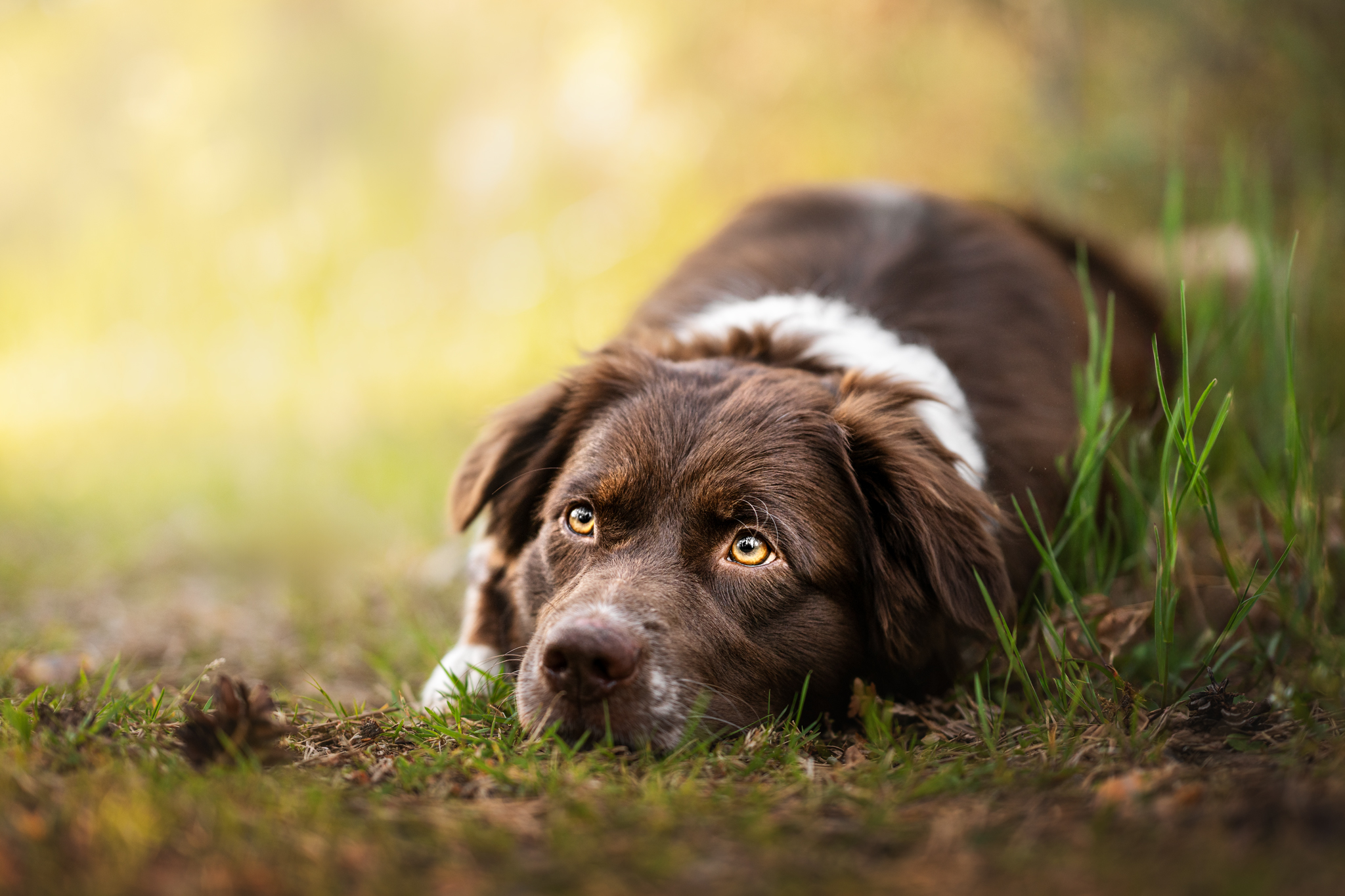 Preise dsc 5281 bearbeitetweb