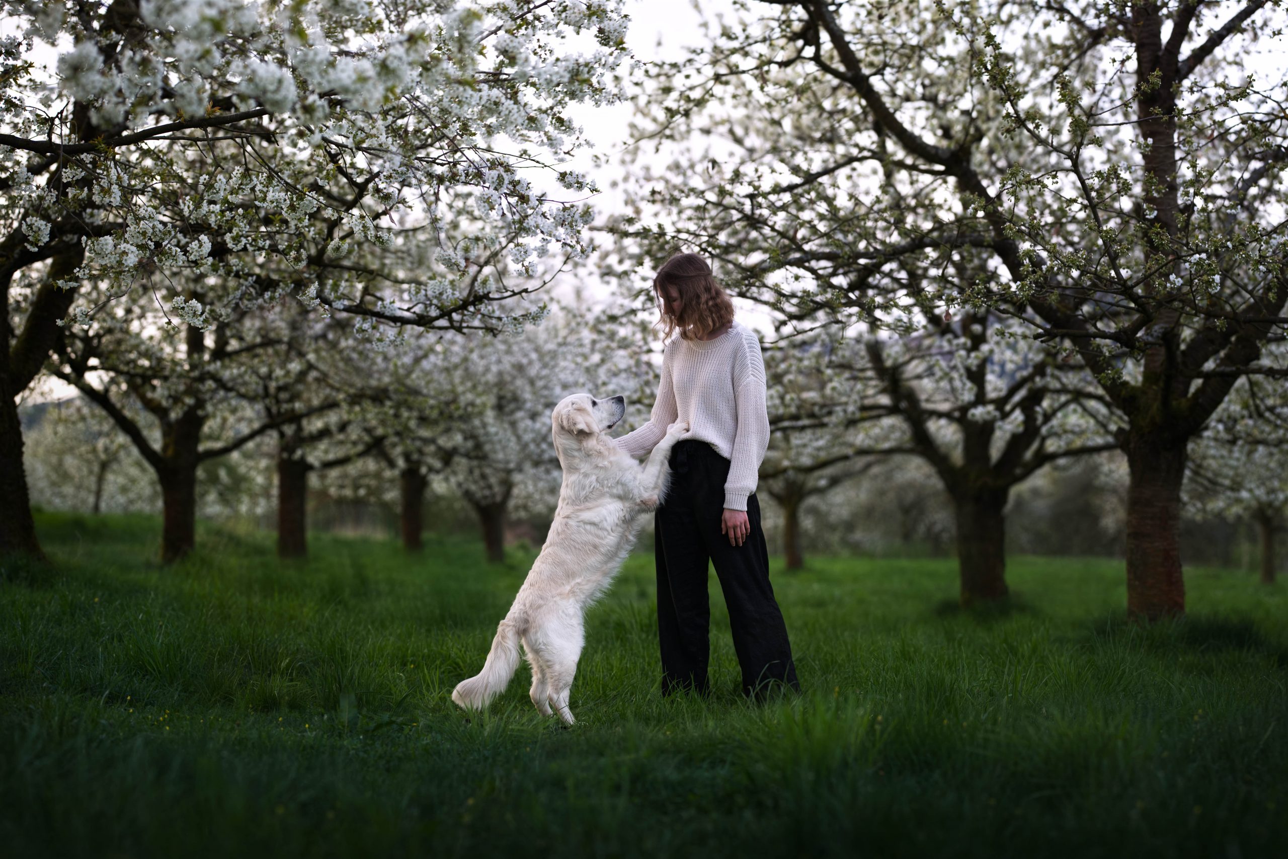 ÜBER MICH dsc 5346 min