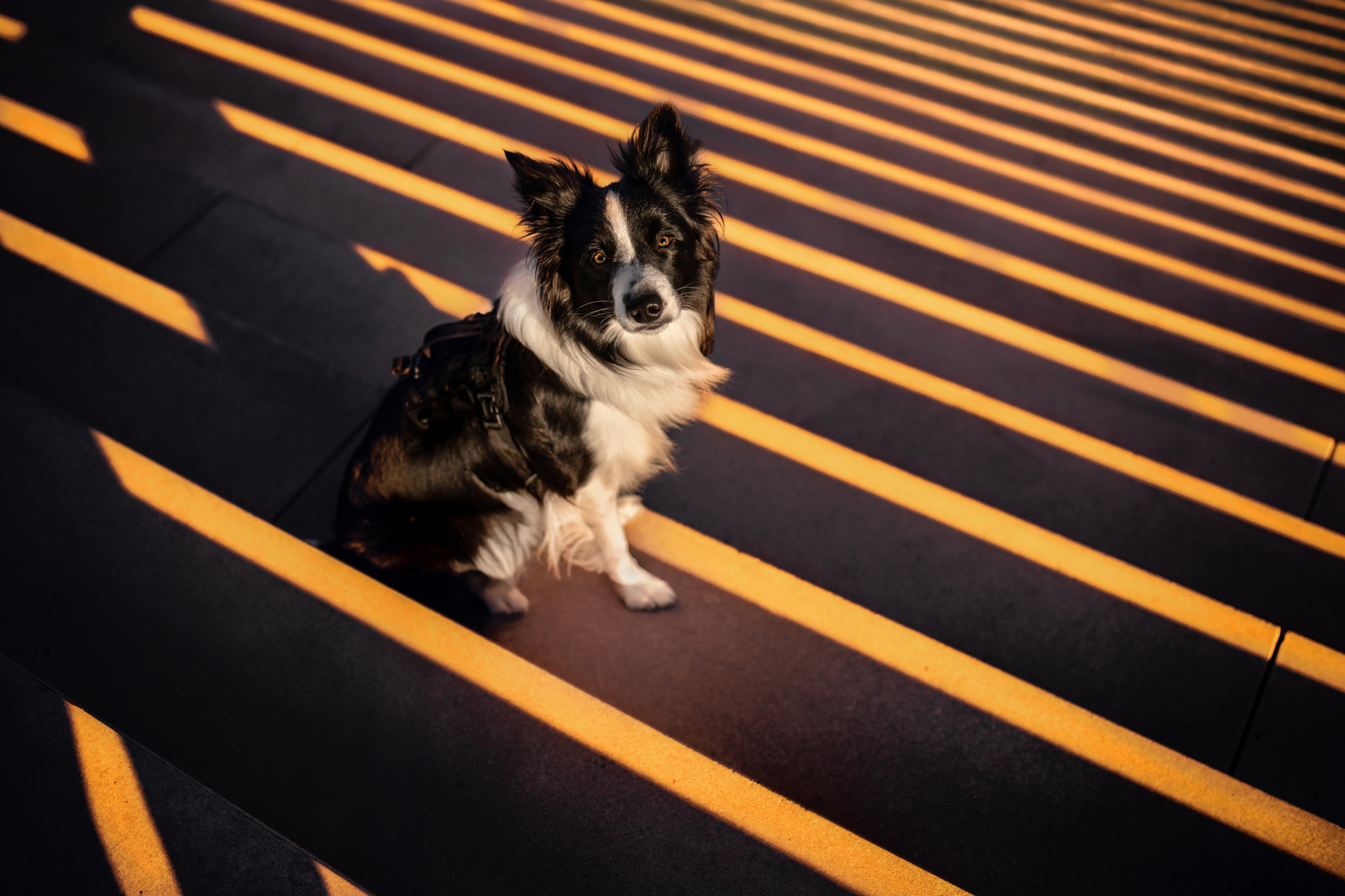 Preise dsc 5650 bearbeitetweb