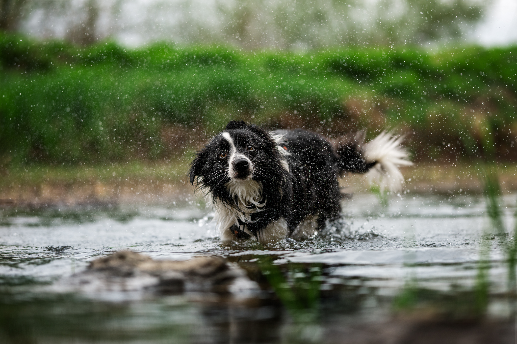 dsc 6476 bearbeitetweb