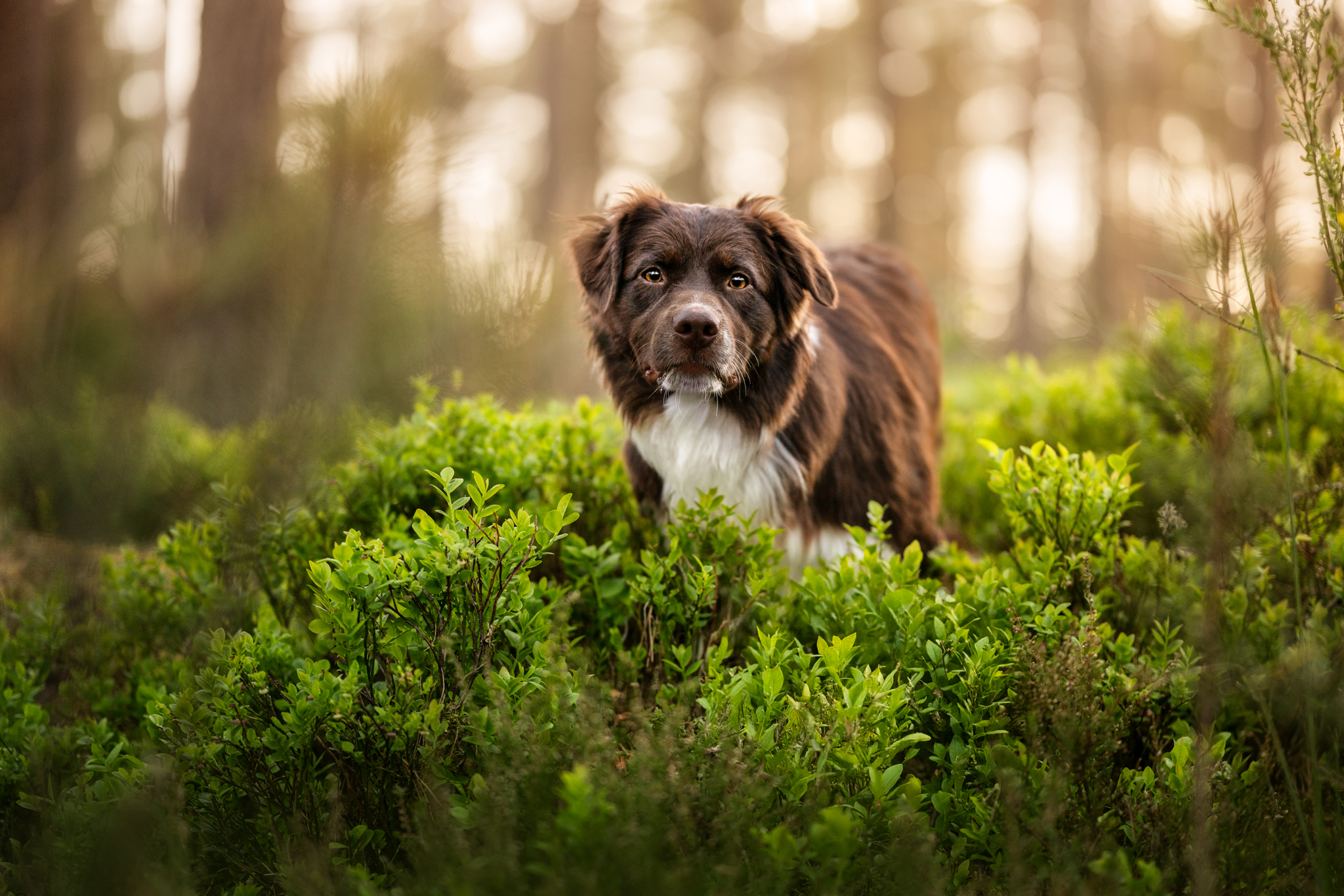 Preise dsc 6843 bearbeitet 2web2