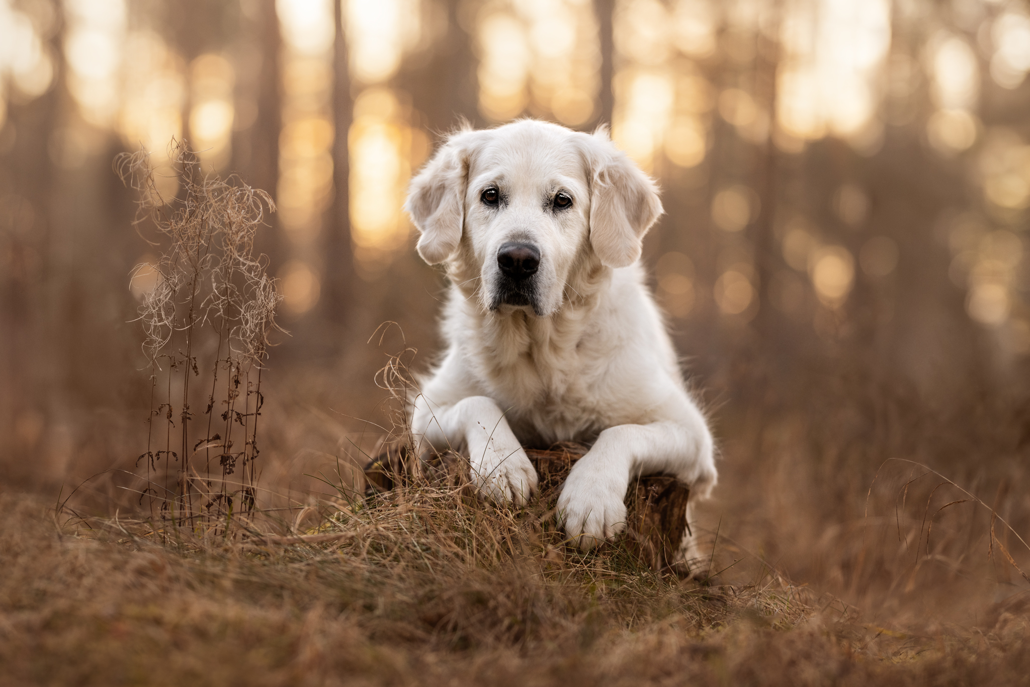 Preise dsc 7596 1web