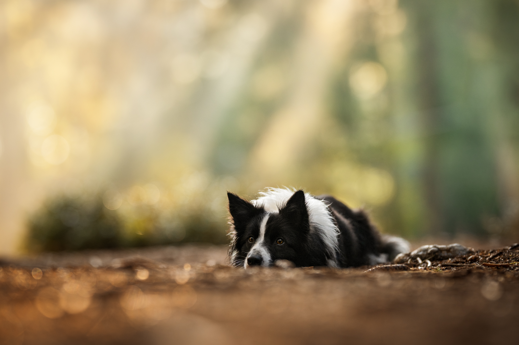 dsc 7842 bearbeitetweb