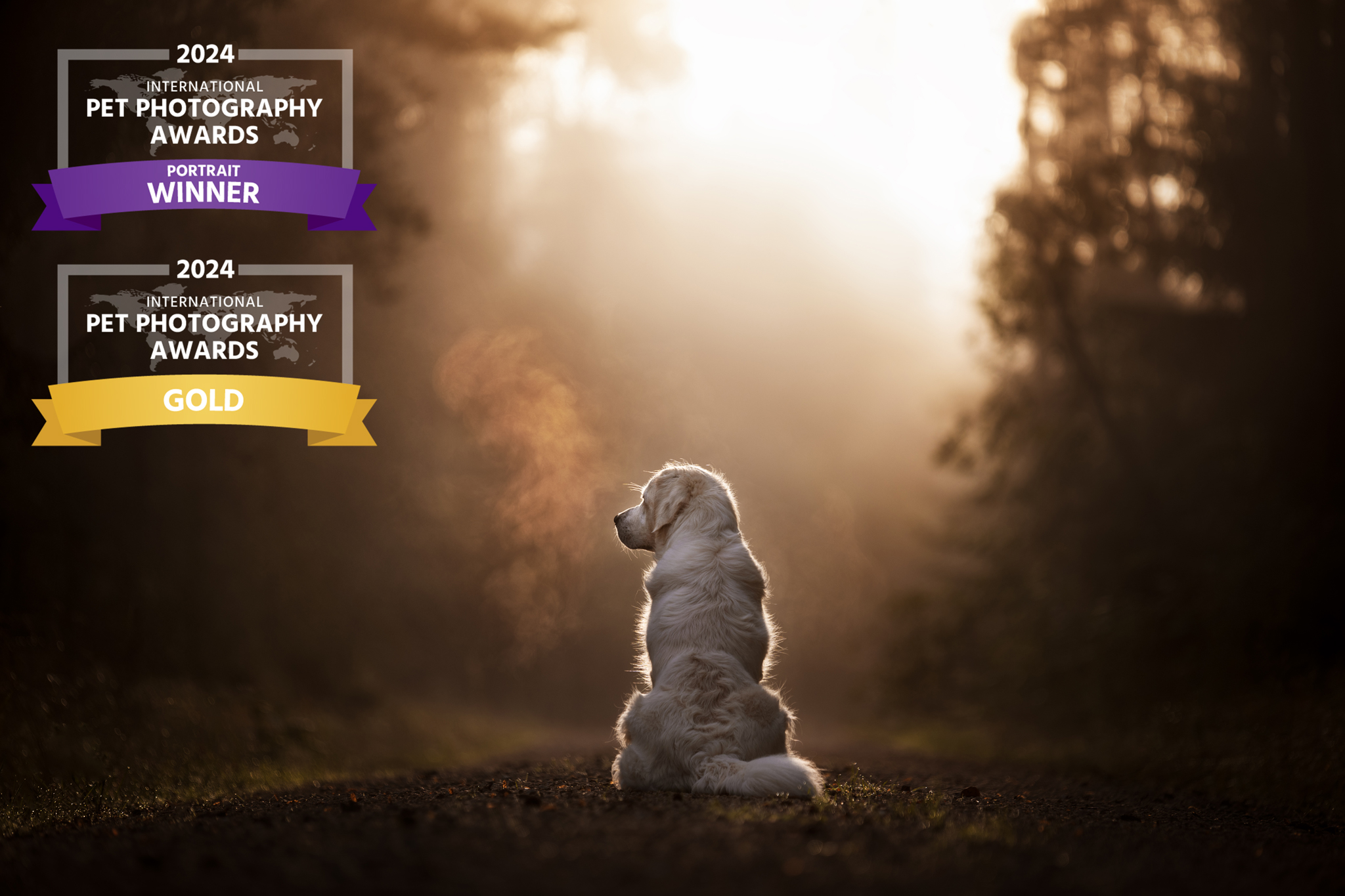 dsc 8589 bearbeitetawardweb