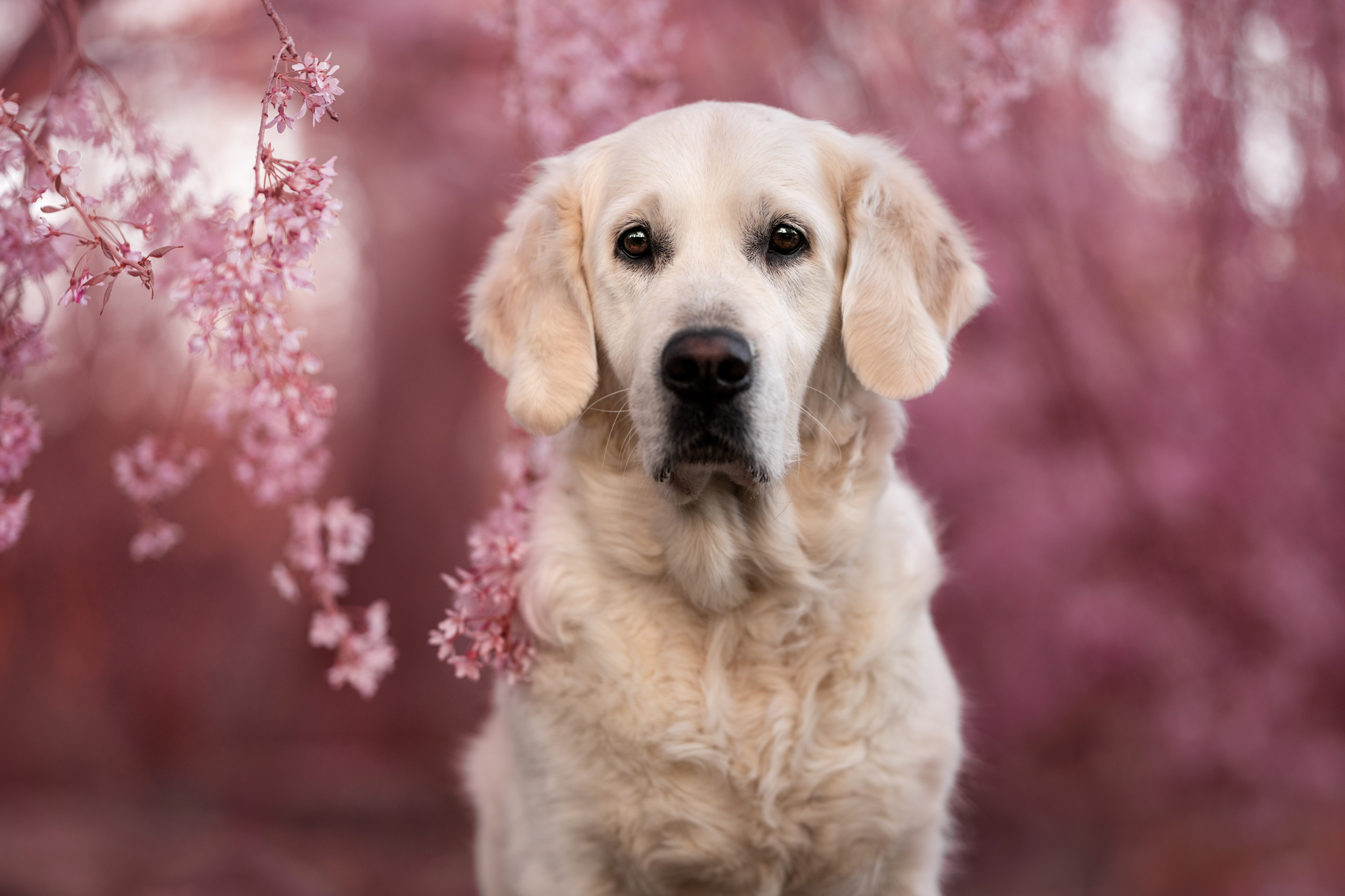 ÜBER MICH dsc 8921 bearbeitetweb2