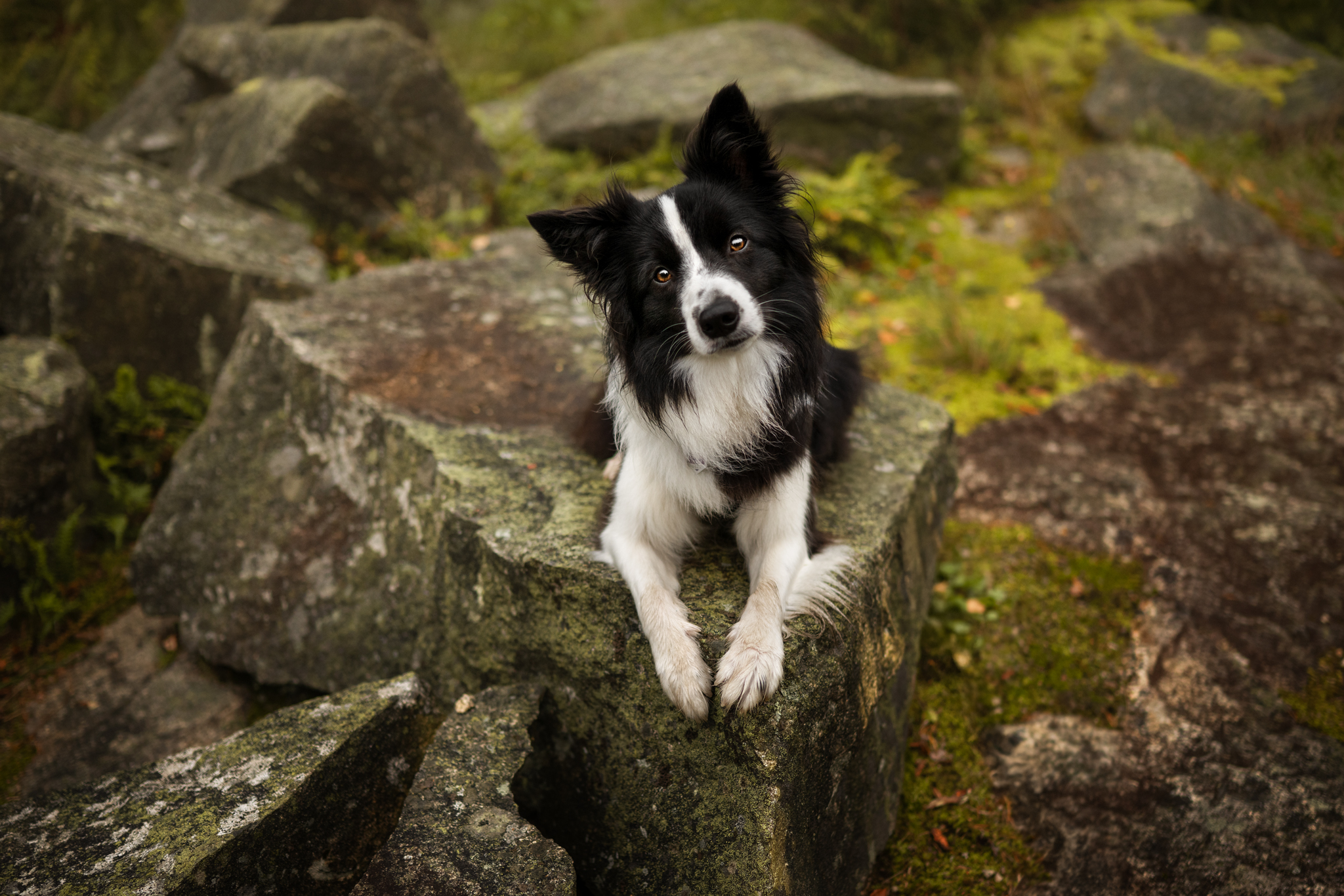 dsc 9049 bearbeitetweb