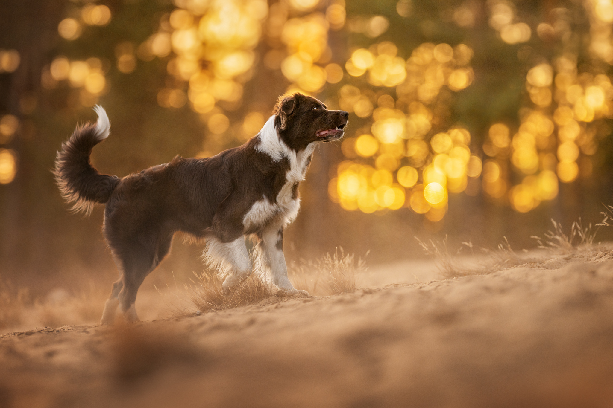 dsc 5770 bearbeitetweb