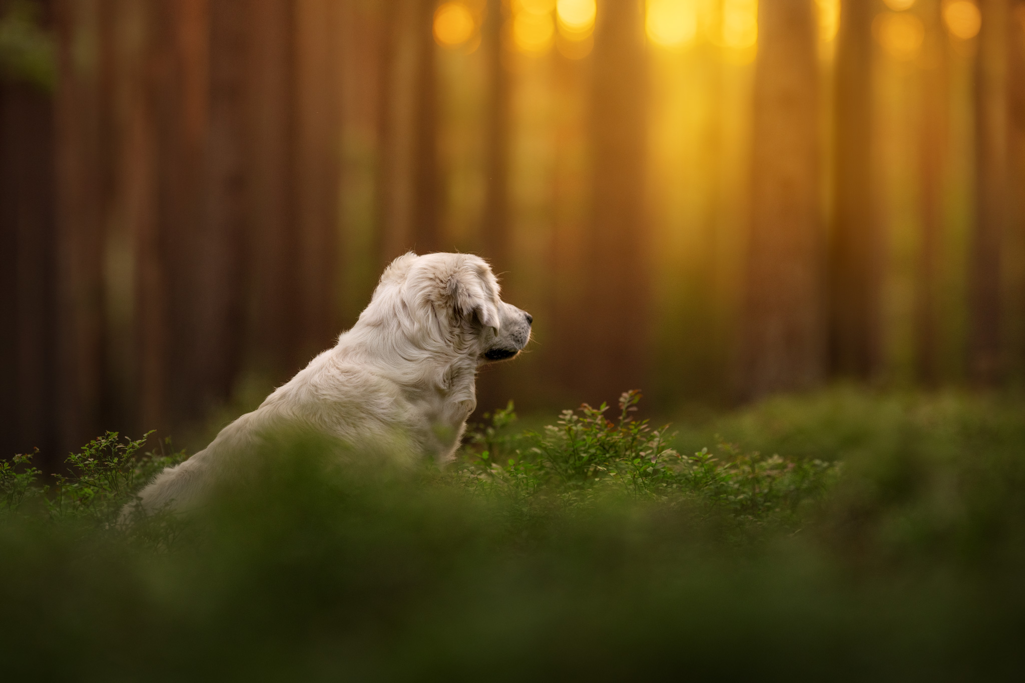 DSC 5438 2 Bearbeitetweb